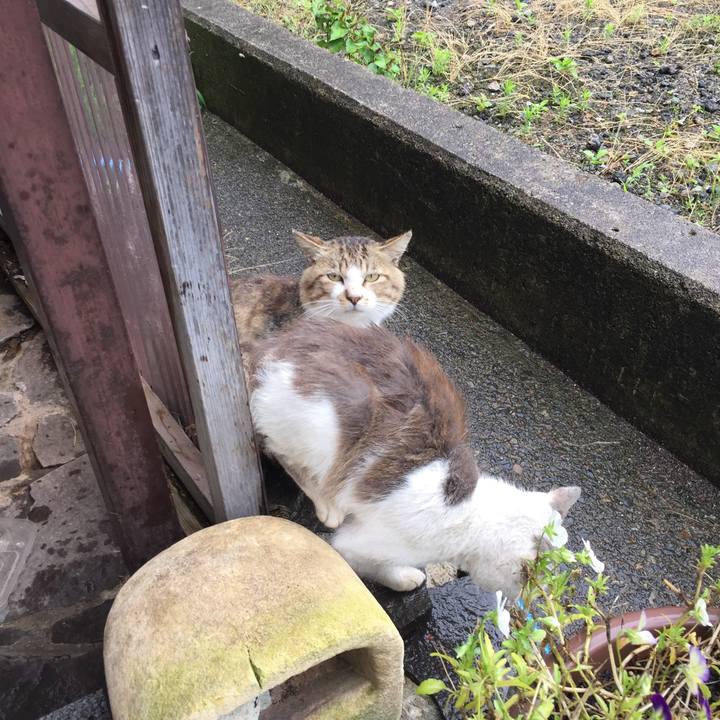 48beba2c 20e8 4629 a8be bdaaafb89eb5