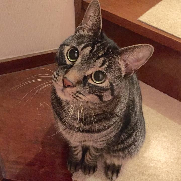 48bff632 35c5 4bc4 995a fba0af7dd067