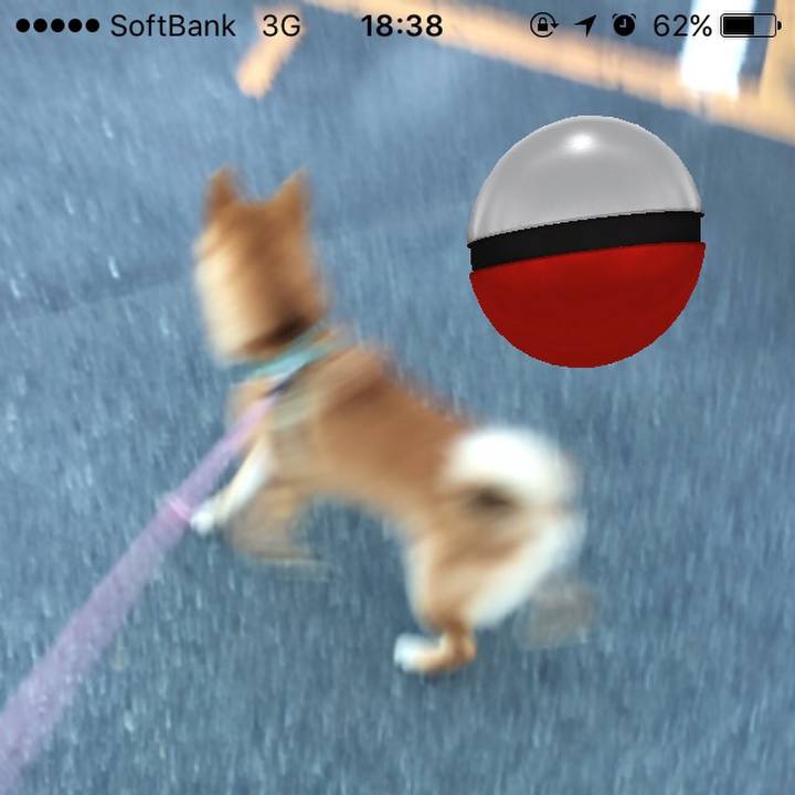 48c13c6f 9f7b 4c34 a7da 7c2747f80ae0