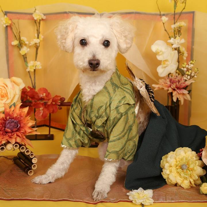 48c18780 f820 4aef a17a 8519f18b98c6