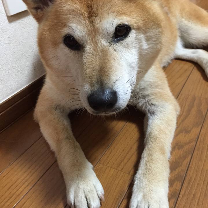 48c2284b d1c2 436b 8d9e e8affbf0209e