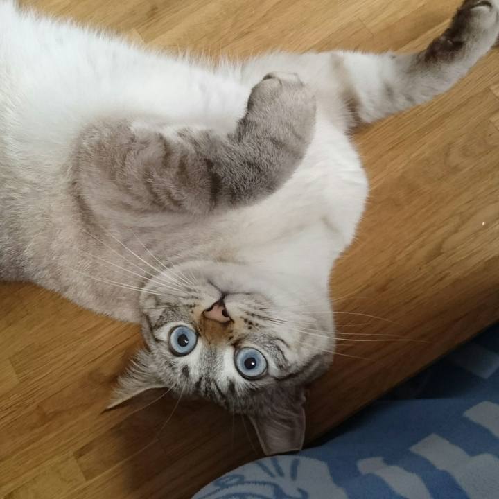 48c2ddb7 0dfb 45a7 b2bf 6c6d1c8393d8