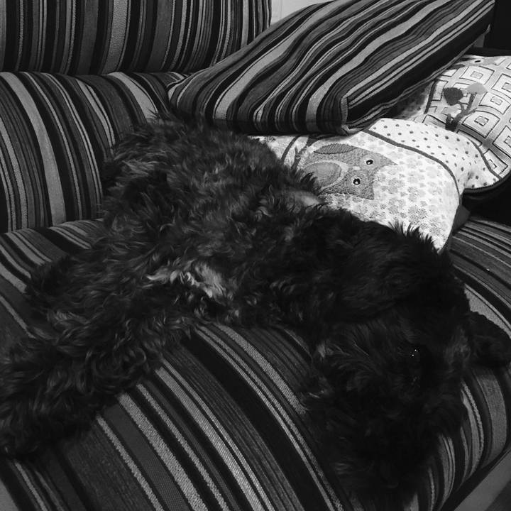 48c30f63 440c 440f 8118 411c4a4bd212