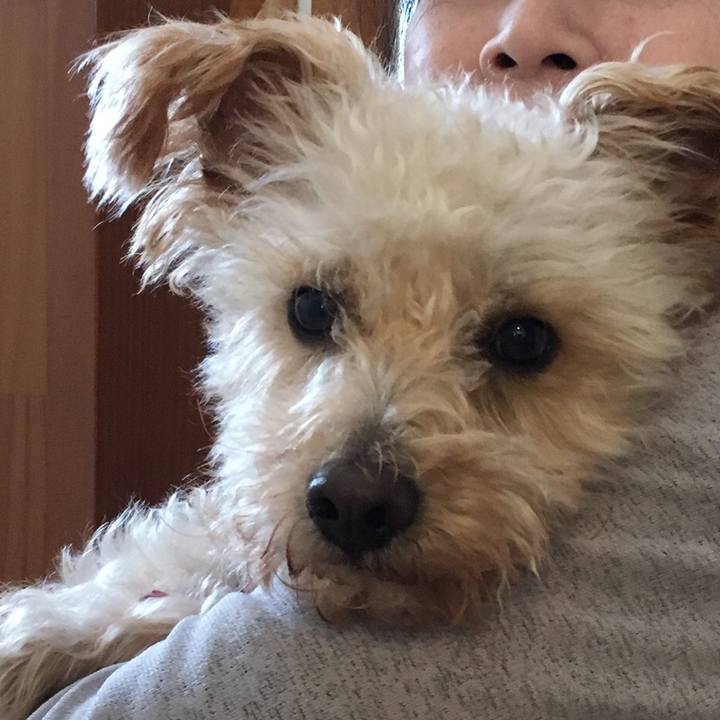 48c3bb7e c704 42bc 9737 9be71b6db9e3