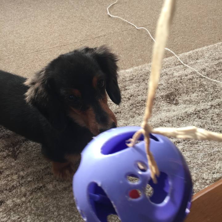 48c3be44 3ded 443a 8c88 5e0b45f30910