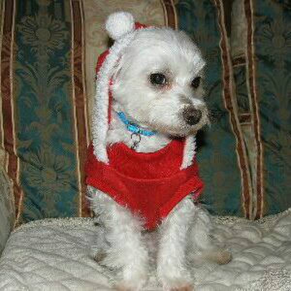 48c516e5 15c1 4de2 bd4b 655d7c5bba0e