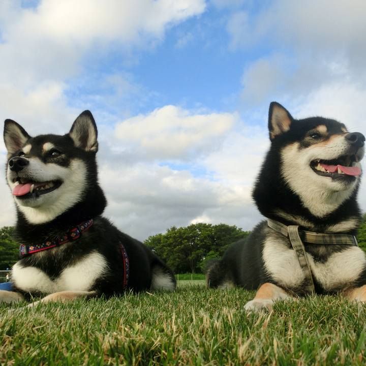 48c58271 1d70 47e3 b090 10715c0ffb29