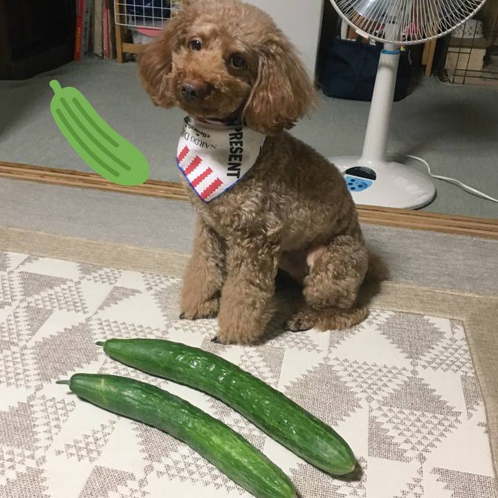 48c5c59e 6f8e 416b 9b46 5c60cedfbd76