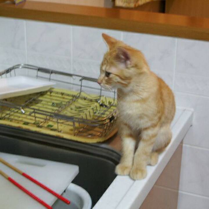 48c66c74 2769 4031 8840 d6c50dc549ac