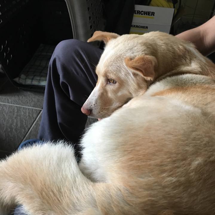 48c681fe d93b 4676 9b3f 45701332e299