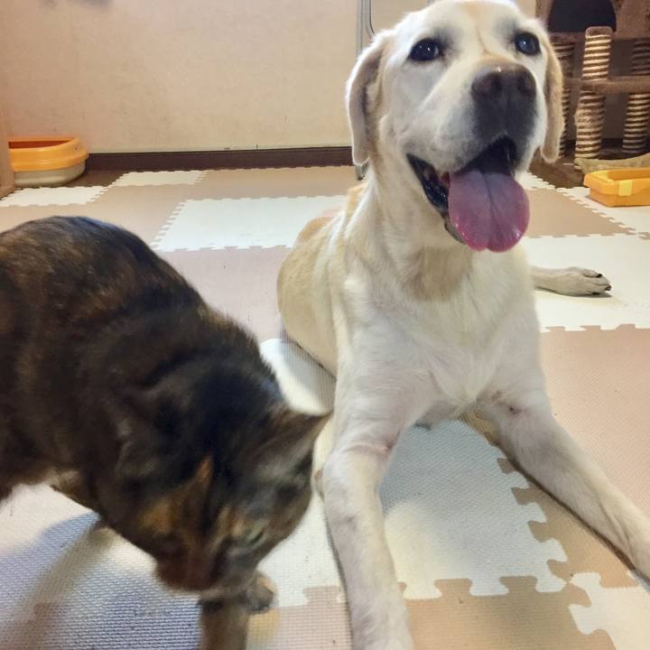 48c68301 0427 482a bd35 eb9d0df649f0