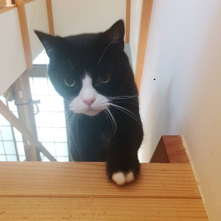 48c765f9 236a 4abc 9955 4ef818f9df71