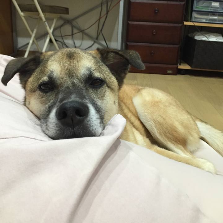 48c80dc4 22c9 4290 b7ef bfcf682c4c3b