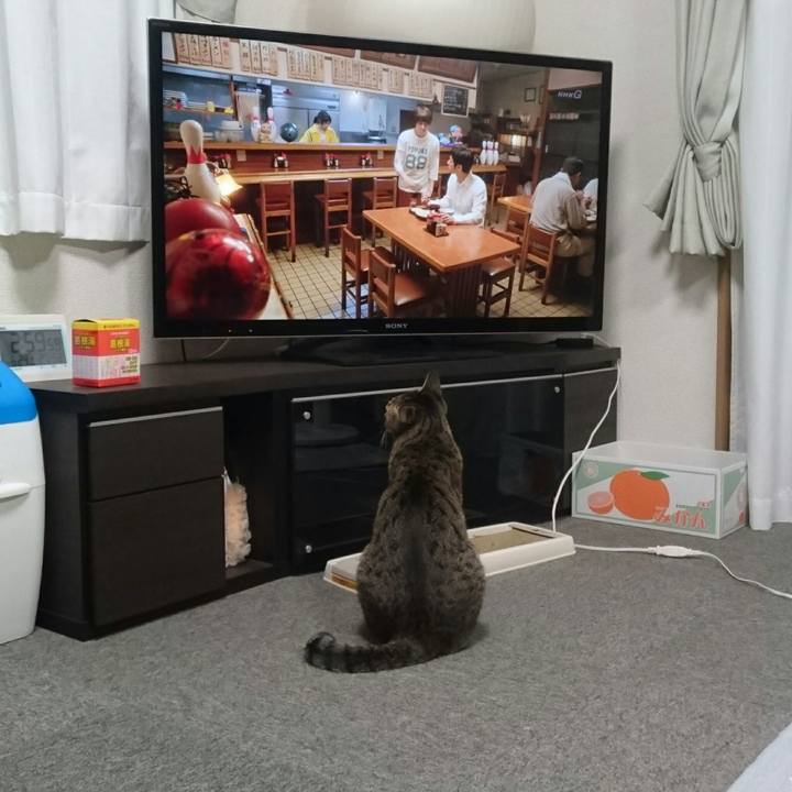 48c866dd a10e 4ee4 9322 9de9ed50d753