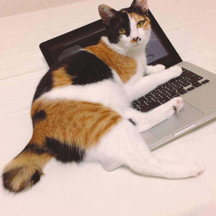 48c880e3 c6b7 444a 9ef2 792f8a16cd53