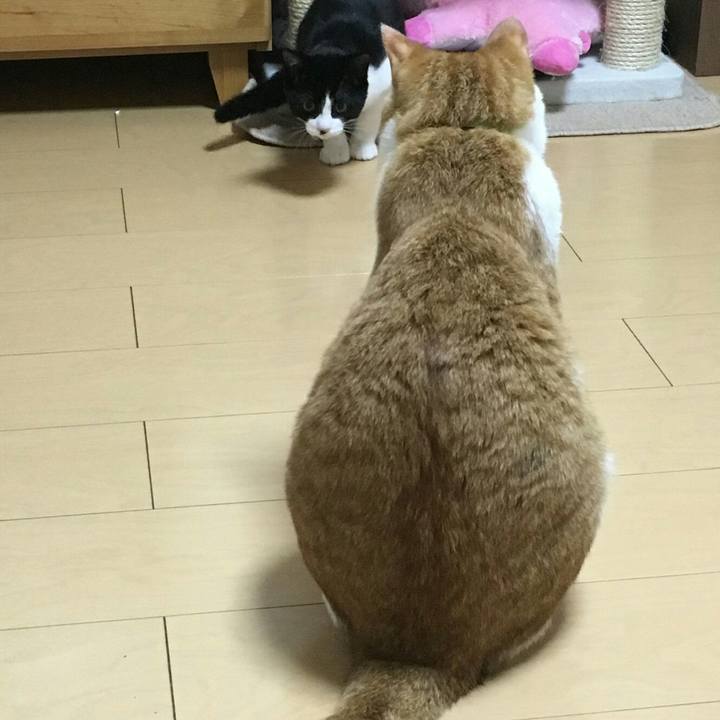 48c8bdfc 2eeb 4e84 9a15 b72d6fcc0e6d