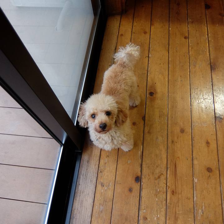 48c9f335 a806 466a afa2 662125b8e9c0