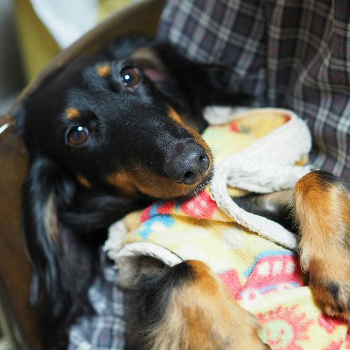 48ca644c fafc 439b b72a 72a4499e97b9