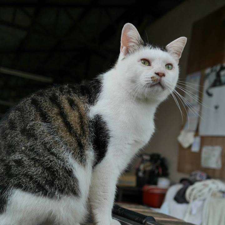 48ca7aa6 5d4c 4b9e 9502 9a46cc2d20ad