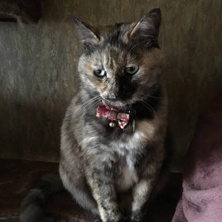 48cb65eb 4b9a 424c 9006 a88b1f8bca94