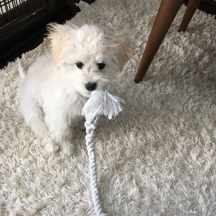 48cb6c9e dce1 40f5 a019 3f5dcd8ced8b