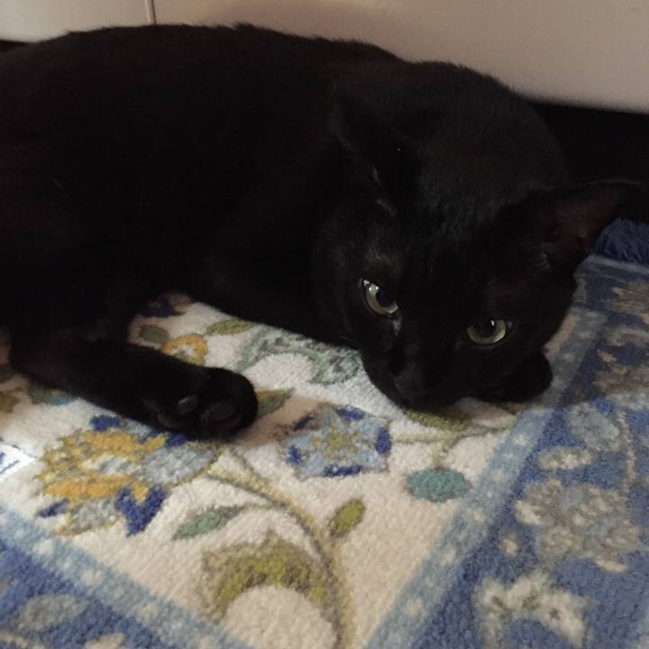 48cc7ab5 906a 4f76 ab0e 18816dd7e52c