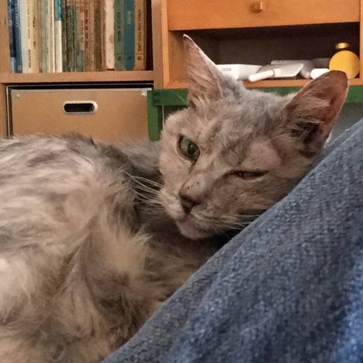 48cd0145 42f0 4386 b128 c458cc81763d