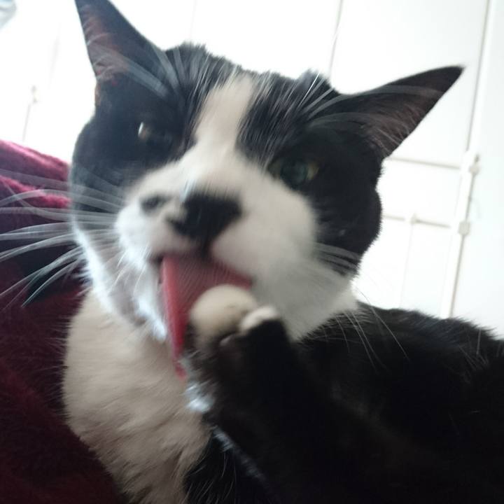 48cd03e4 5f9d 4871 a1db 1fada50d5010