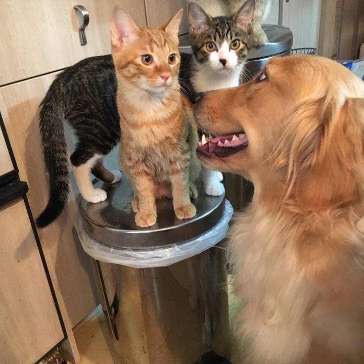 48cd046c 5afb 462a 8f1d 4b36299a484b