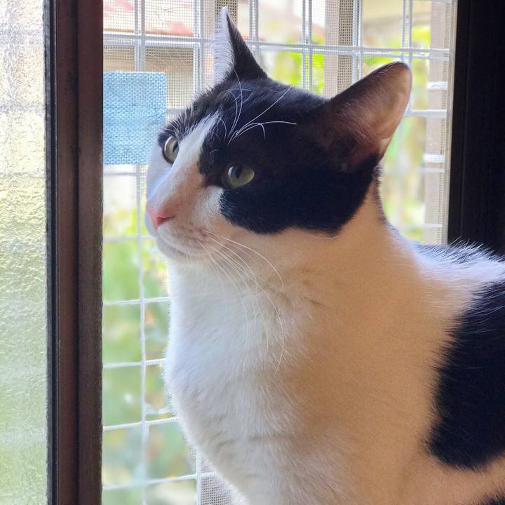 48cd1a33 49d7 41f1 9524 26cc55857572