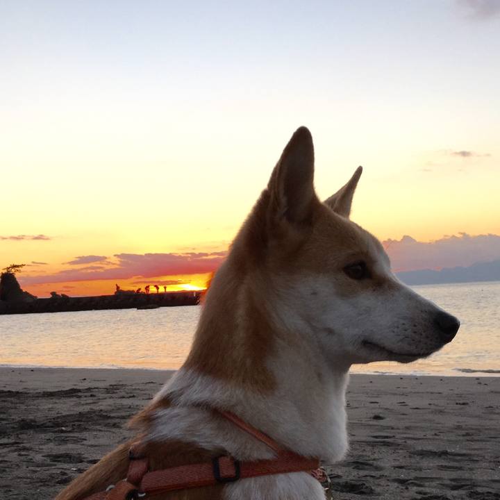 48cd4726 c7cf 4055 b37a 91d5704a1cd8