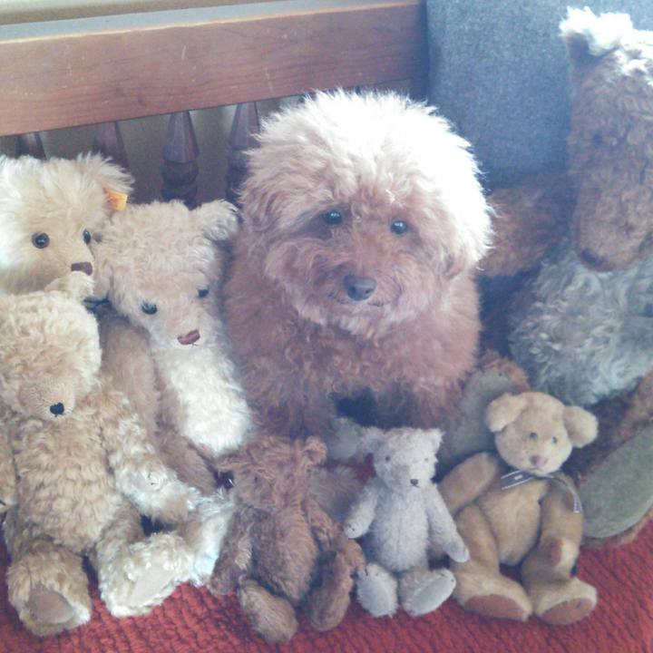 48cd4bfc c920 44db 91bd 081363160eee