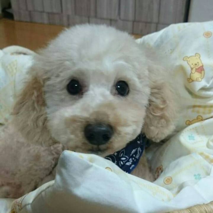 48cd643a 881d 49bf 9974 1d0365bab6f0