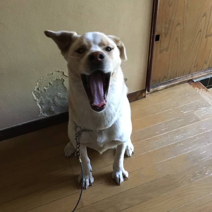 48cdb8e5 a65a 4ba0 9dfc 9eb11fed66aa