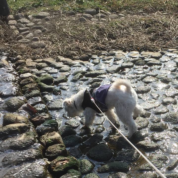 48ce2190 e806 4427 9e17 6baf0621851b