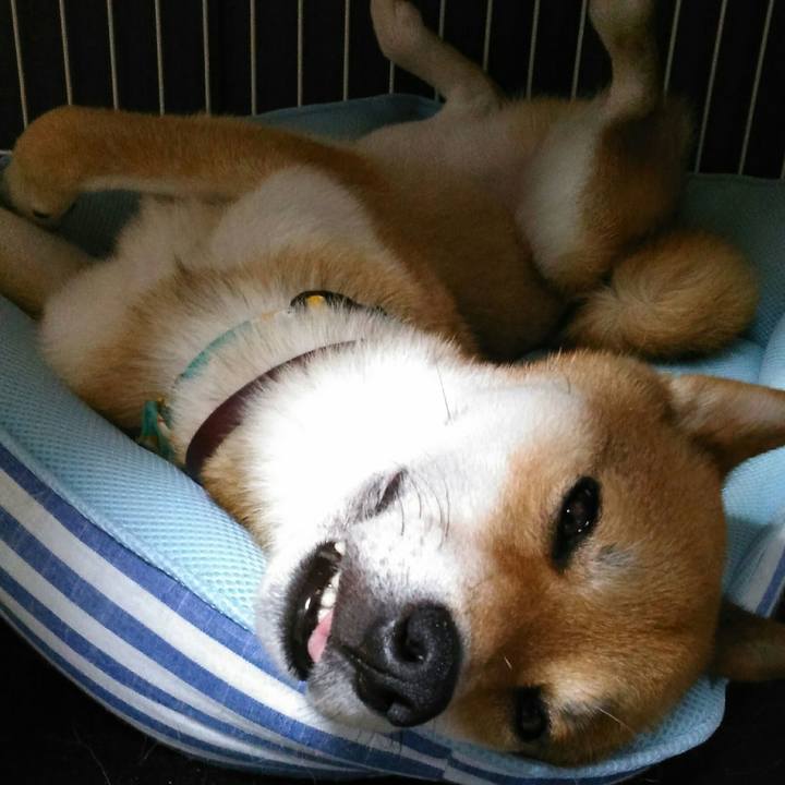 48cf4ce6 512a 4a1b a00a 1a0cdc91e3be