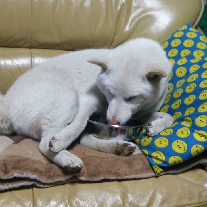 48cf98d7 d30b 4184 b072 e53b3dfed46f