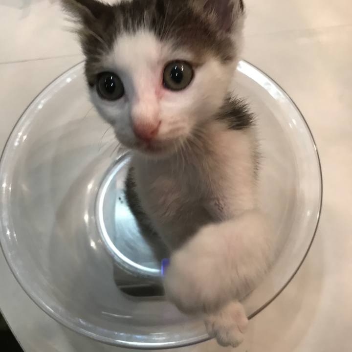 48cfe30c 3c40 46db 9457 173445be1165