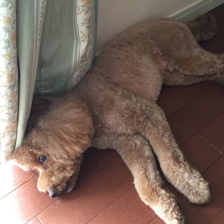 48d0a059 7550 4b79 8b9b 9b6ade491657