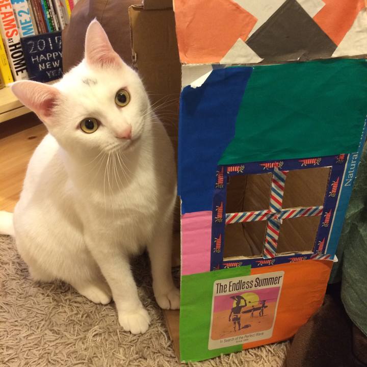 48d0d593 2a0d 4344 8376 3dbaee264910