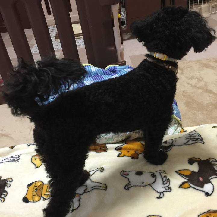 48d13392 d203 4ec8 bb3c 80fb3c59f61e