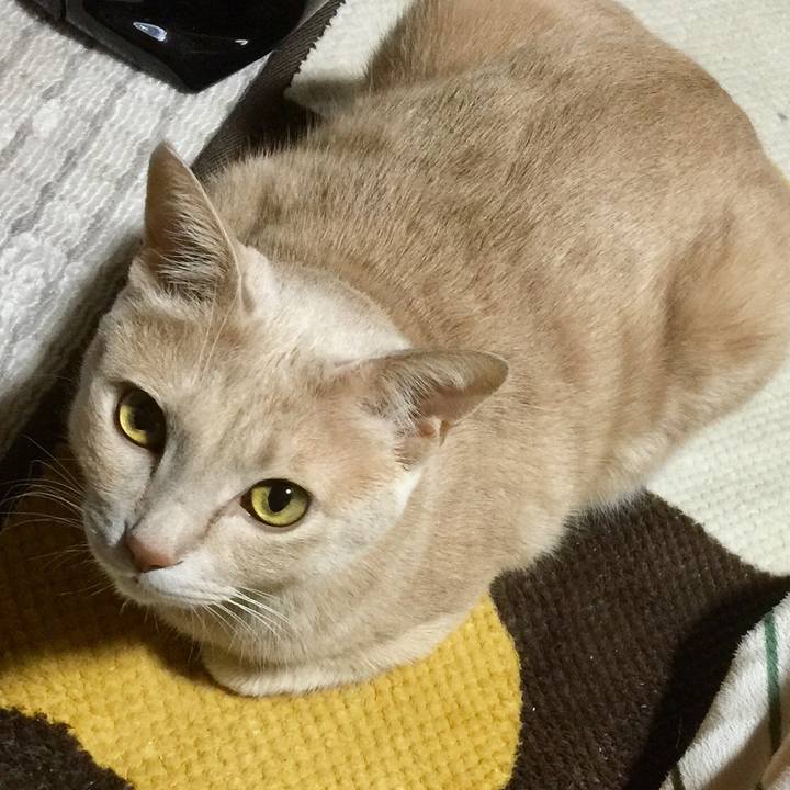 48d1875f 0722 427b ae43 c89e38f76405