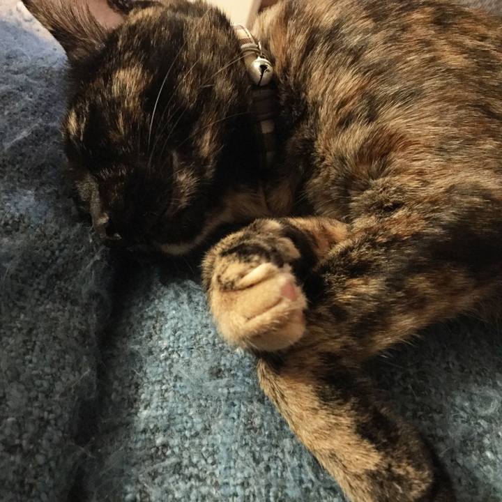 48d1c9a6 2aeb 4f23 a199 2170484875e9