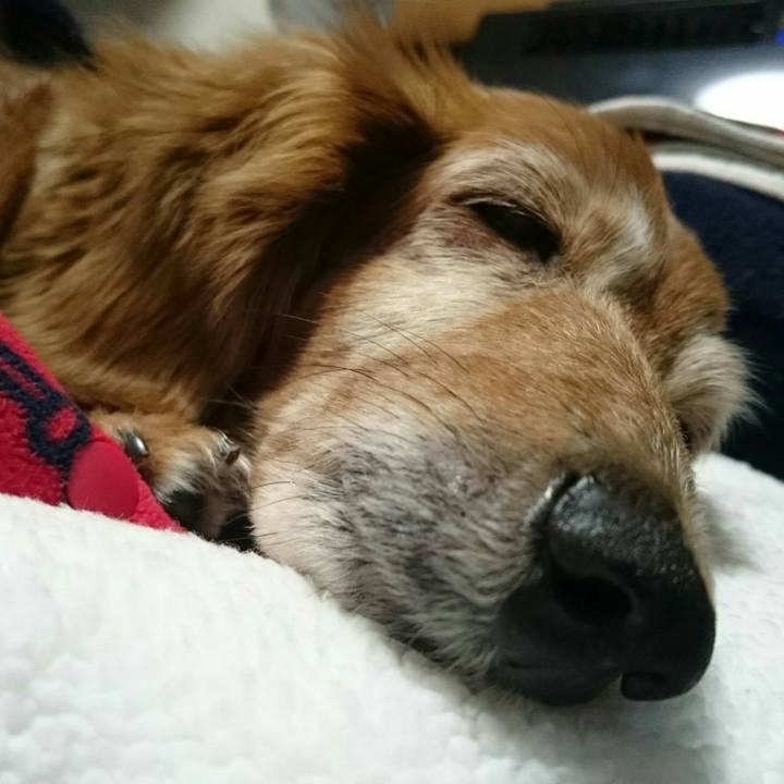 48d213fd 6e63 49ea 80d1 7813e4f0a88c