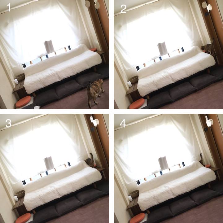 48d24492 0de8 4dc4 851c b8e26f4e6739