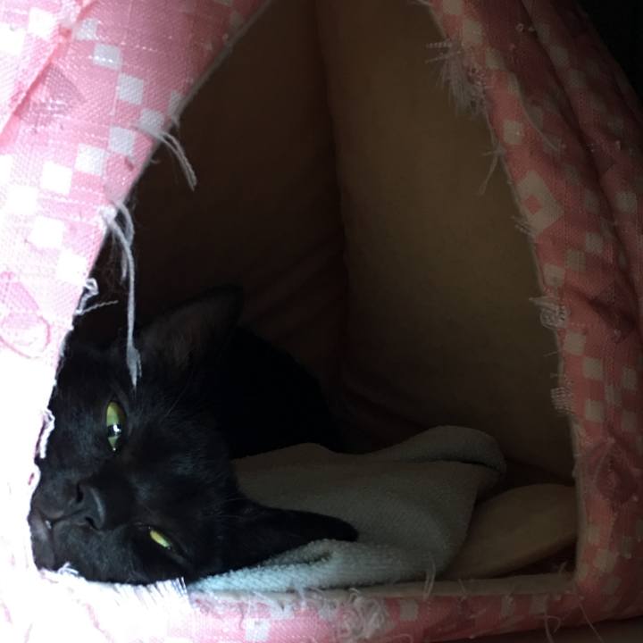 48d31d80 147d 4c19 9682 e45e572db589