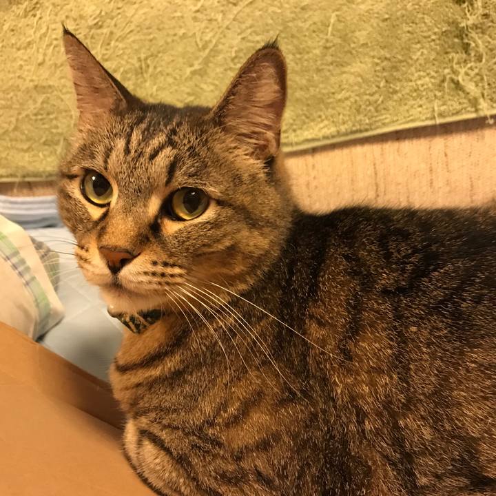 48d337b5 e721 4b97 9d90 f188399dbc3a