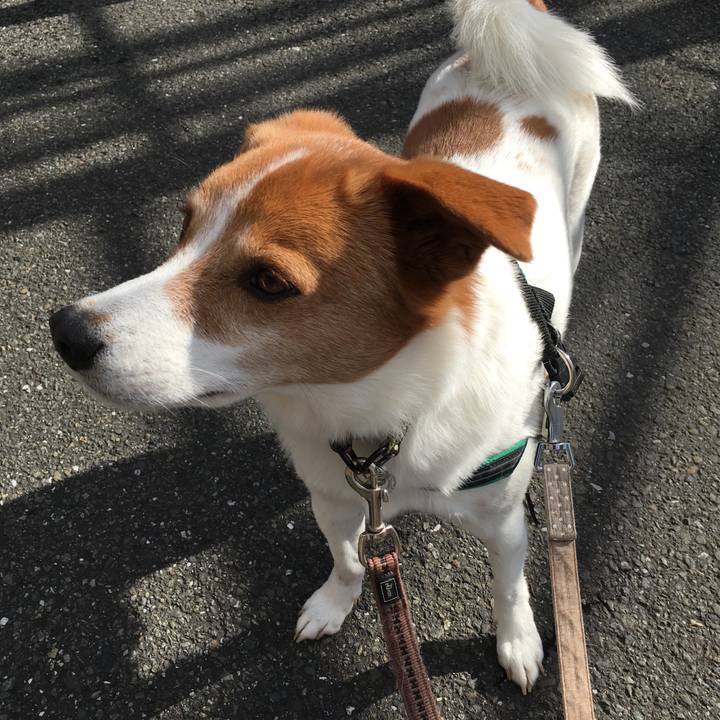 48d36058 a195 4f72 8029 afaf6607b148