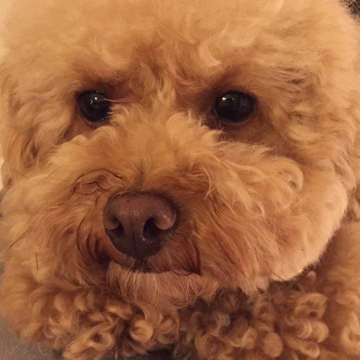 48d37764 6780 4856 b773 9690169cb459