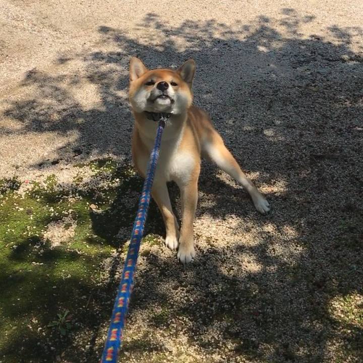 48d38718 fe2c 473e a6b0 569876c55348